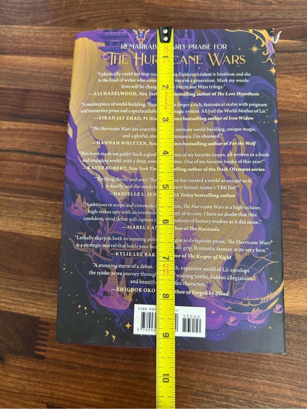 The Hurricane Wars by Thea Guanzon - Picture 7 of 10